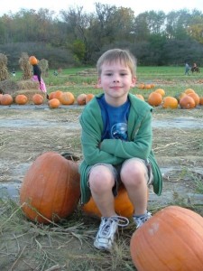 Joey in pumpkin patch