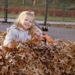 Leaf Pile