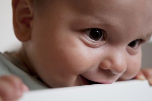 bigstock-Close-up-of-a-little-Baby-biti-44728720